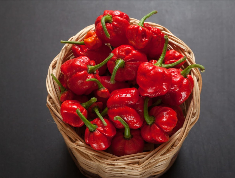 Ardeiul iute Habanero Red